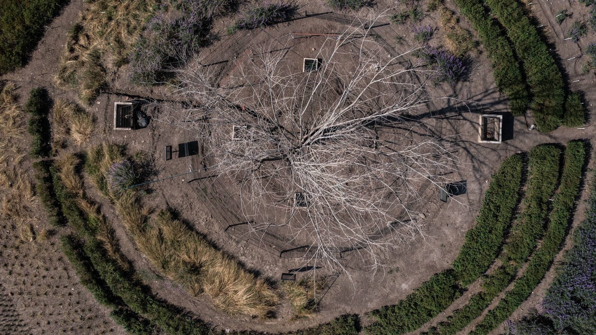 FOTO: MARIO JASSO/CUARTOSCURO.COM