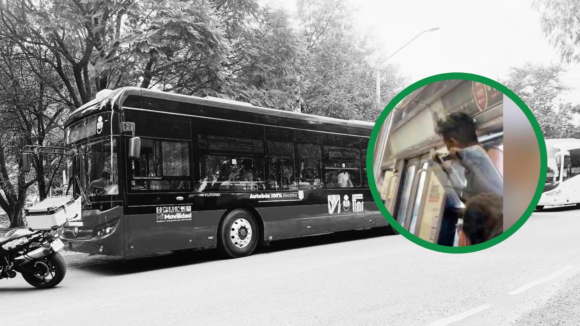 El Sistema de Tren Eléctrico Urbano suspendió el servicio por tres horas tras el impacto fatal