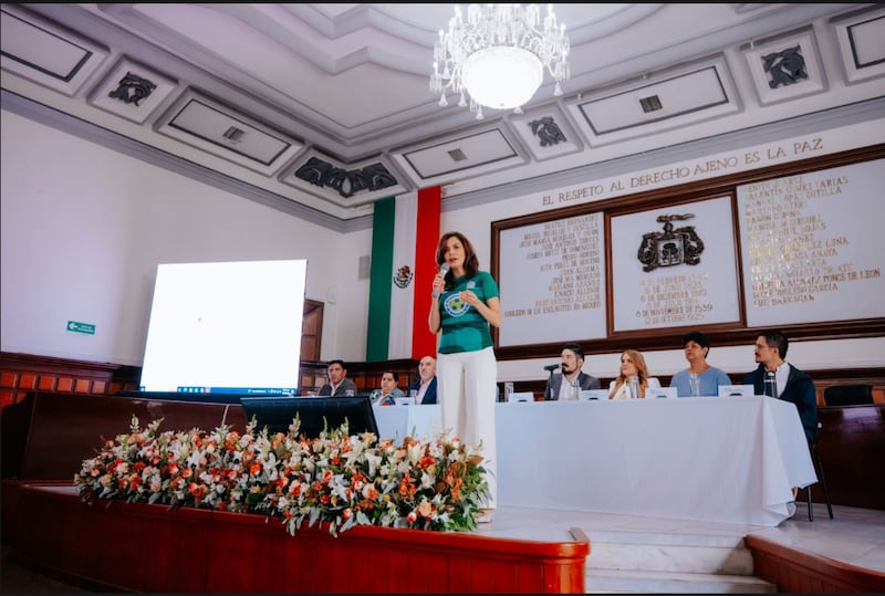 Presidenta de Guadalajara, Vero Delgadillo