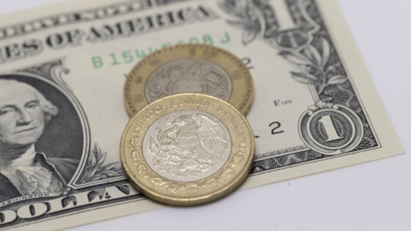 Precio del dólar hoy 10 de noviembre: peso mexicano abre estable en 18.44 pese a recorte de tasa de Banxico