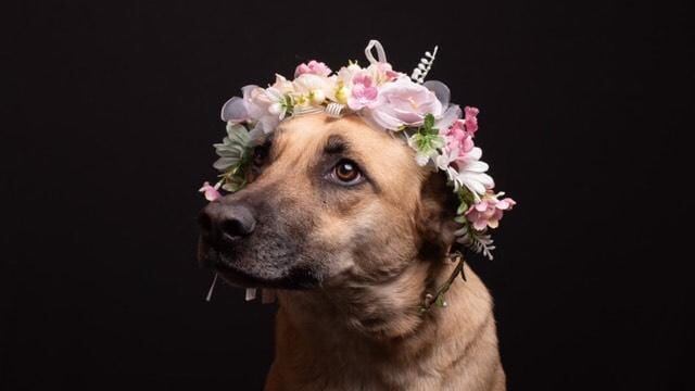 Croquetón 2024 de Neverías Frody