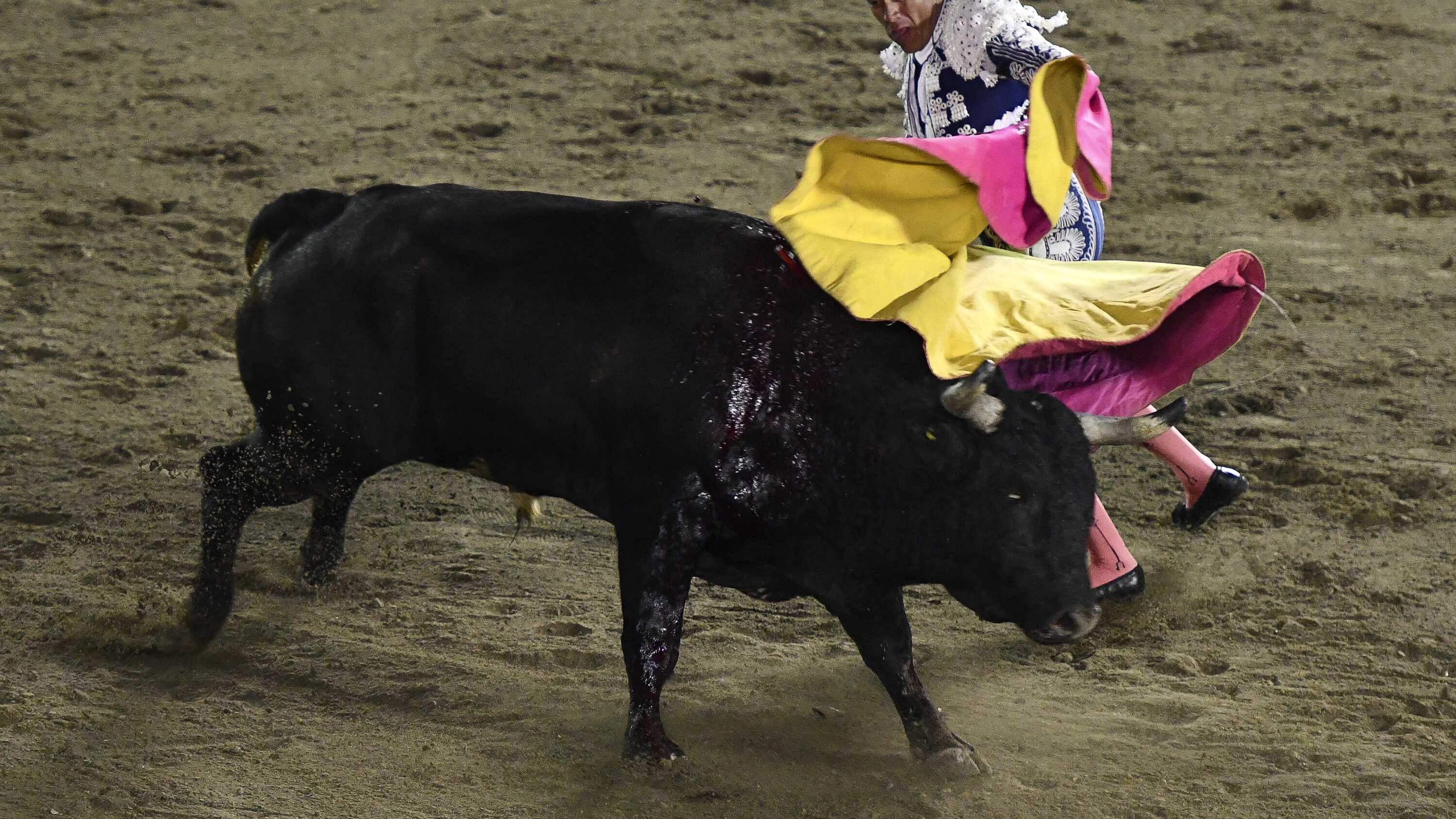 FOTO: Agencia Enfoque