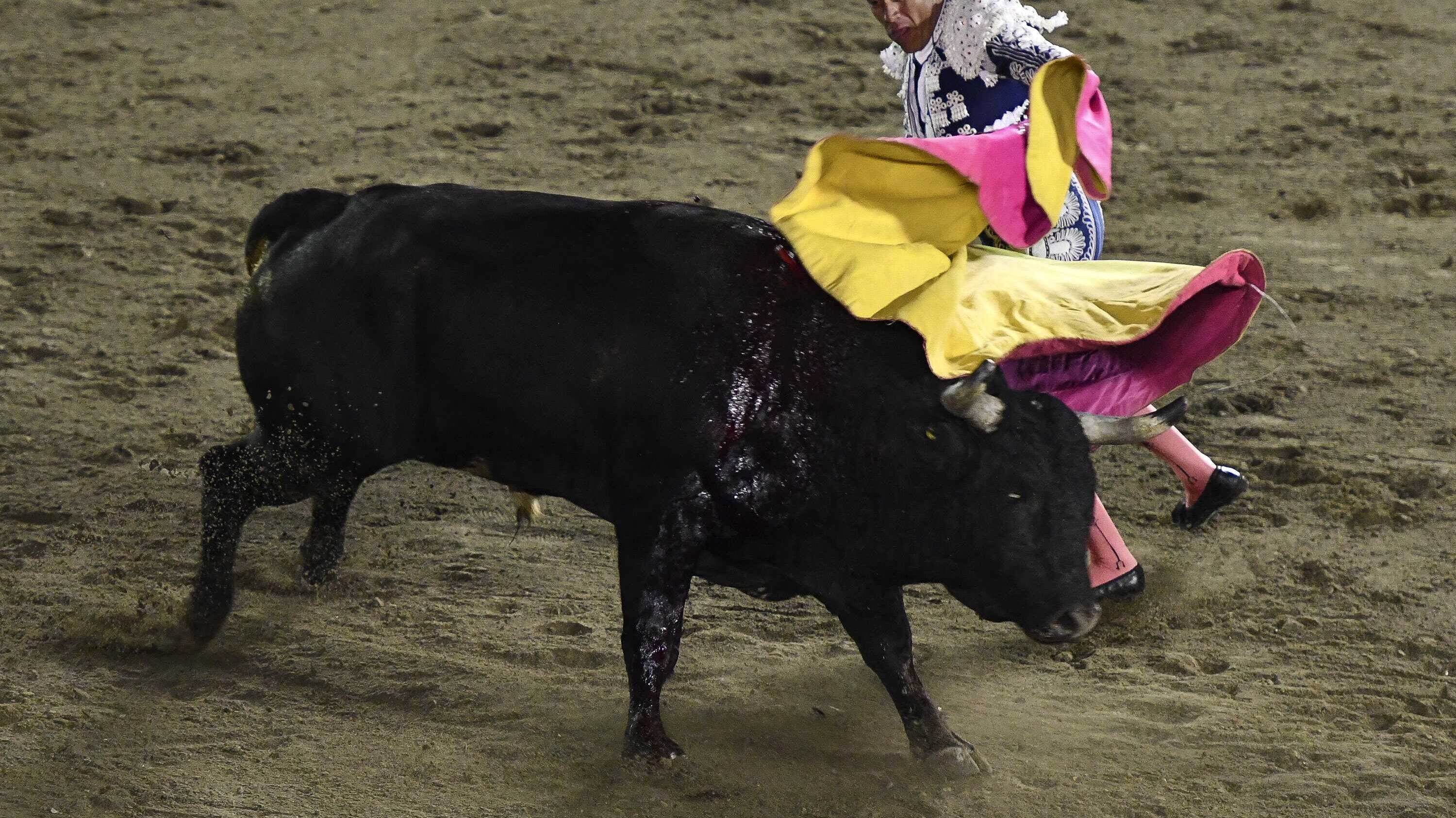 FOTO: Agencia Enfoque