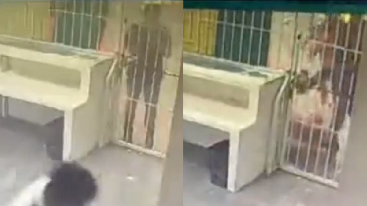 Los guardias de seguridad se negaron a abrirles la puerta. (Especial)