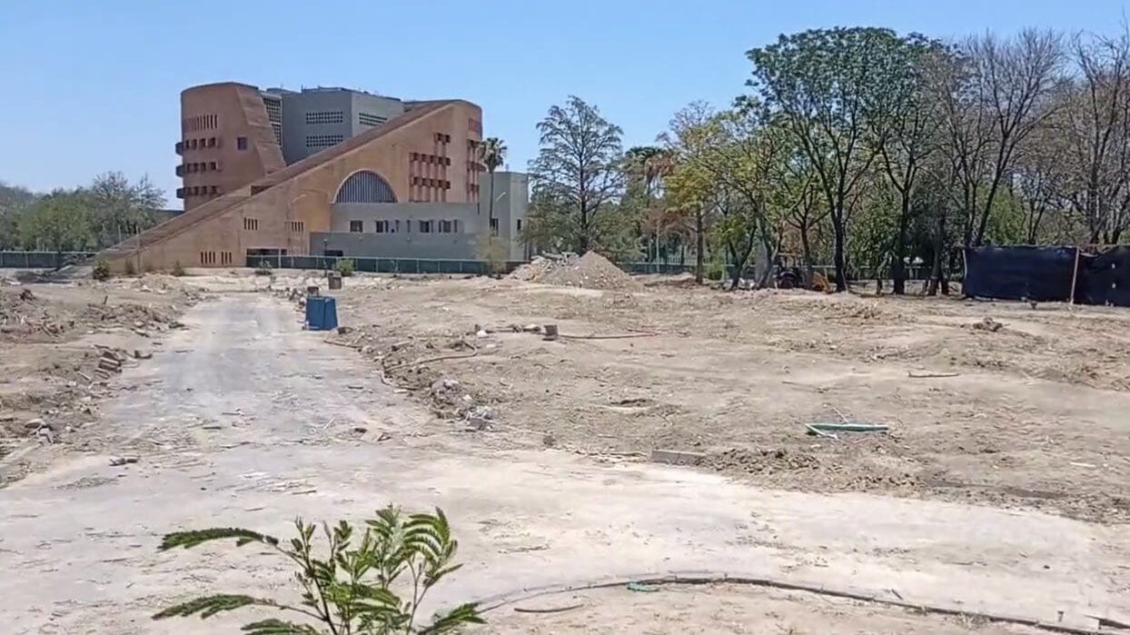 En el área se construirá un polideportivo que no contempló la presencia de árboles.