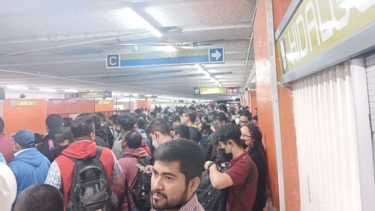 Cae muleta a las vías en la Línea 3.