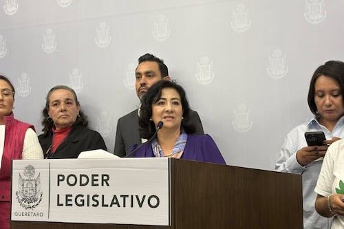 Hombres decidieron por las mujeres: Bety Robles