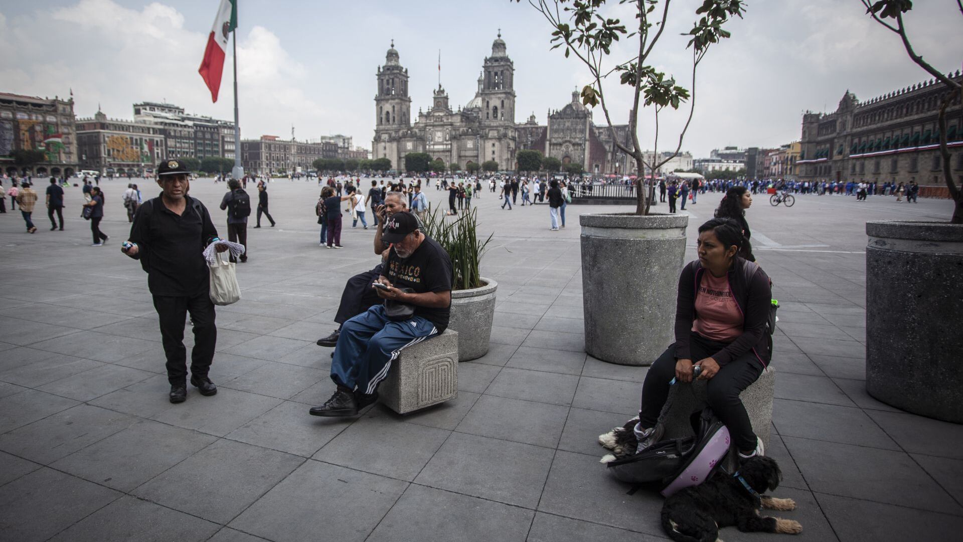 Ideales, objetivos y resultados