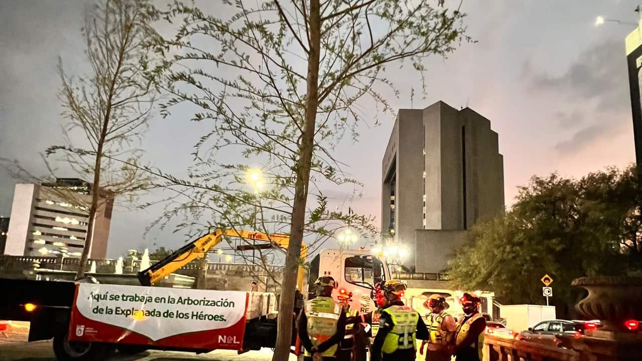 Este es el primer árbol que se planta en la Explanada.