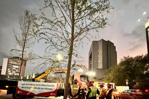 Samuel García: Se la estamos dejando bien difícil a la oposición