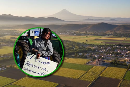 Difunden reglas del incentivo al maíz blanco en el Bajío; Guanajuato sumará recursos propios