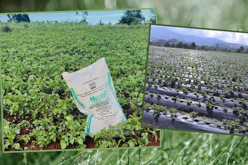 Guerra en Irán dispara hasta 40% los fertilizantes y hace temblar el precio de alimentos