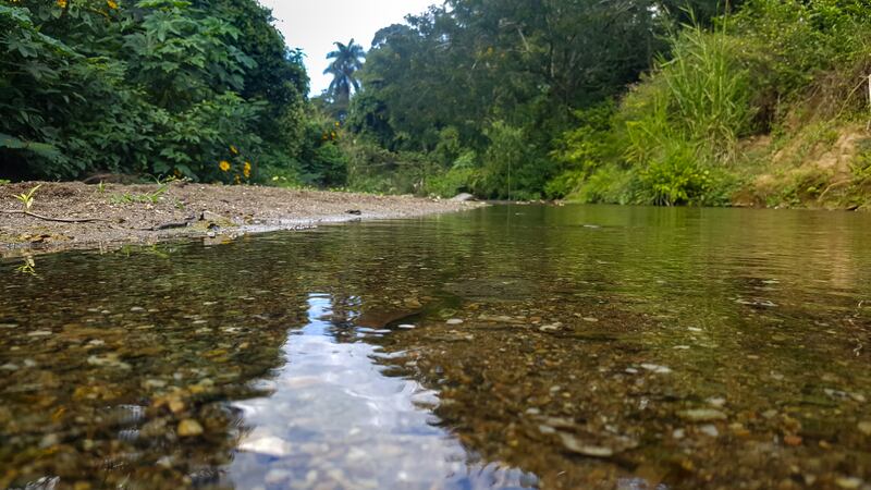 "Click al planeta" concurso de Canon