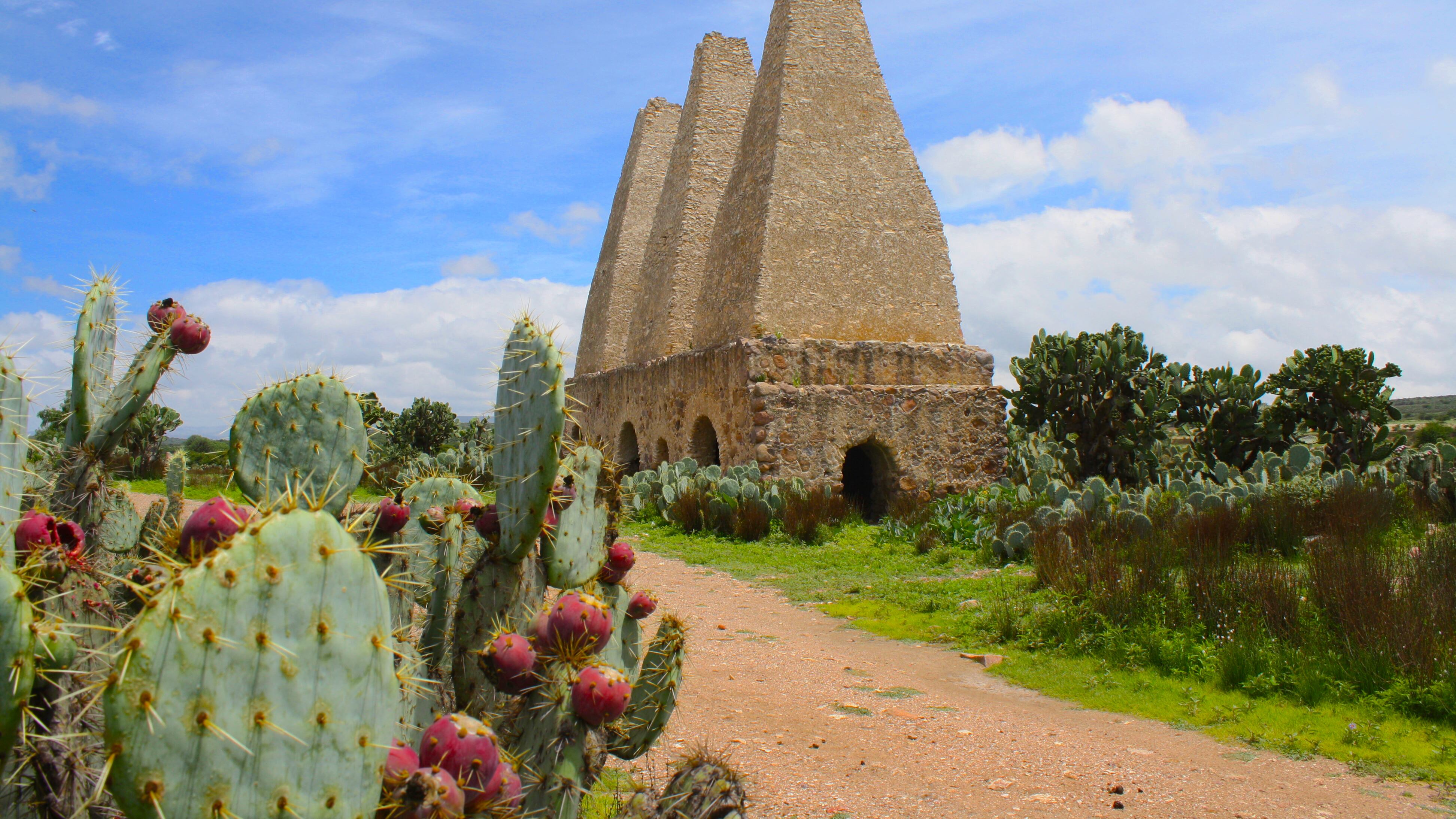 Un Pueblo Mágico que no se parece a ningún otro. Con un clima desértico, tiene mucha magia; le llaman incluso el Pueblo Fantasma, pero no porque esté vacío, sino porque está plagado de leyendas e historias que lo convierten en un destino místico y emocionante.