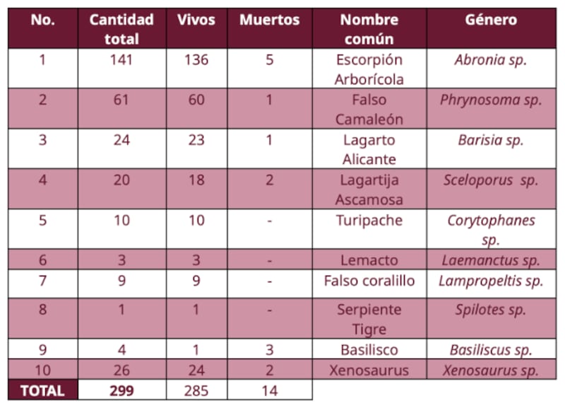 Traficante mexicano de especies es vinculado a proceso