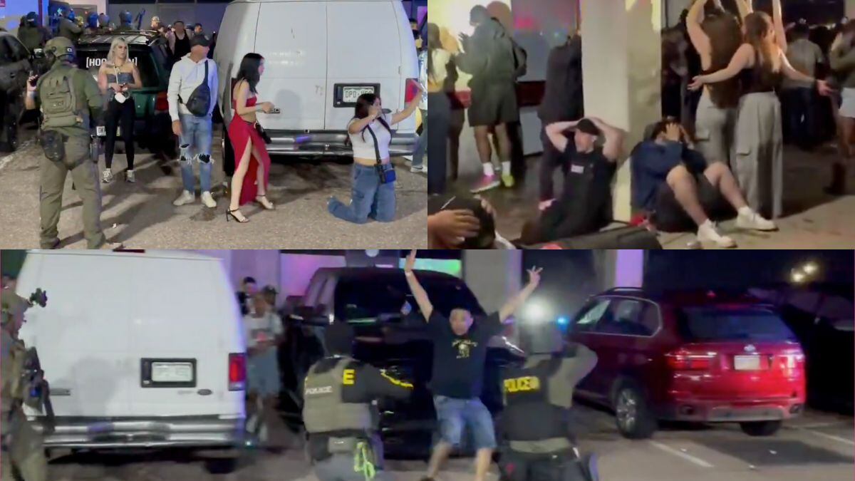 Video: Más de 100 migrantes detenidos en club nocturno; había presuntos miembros de grupos criminales
