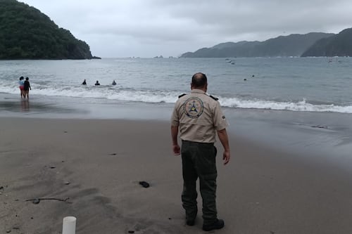 Puerto Vallarta: Oleaje de hasta cuatro metros obliga a cerrar playas y vialidades