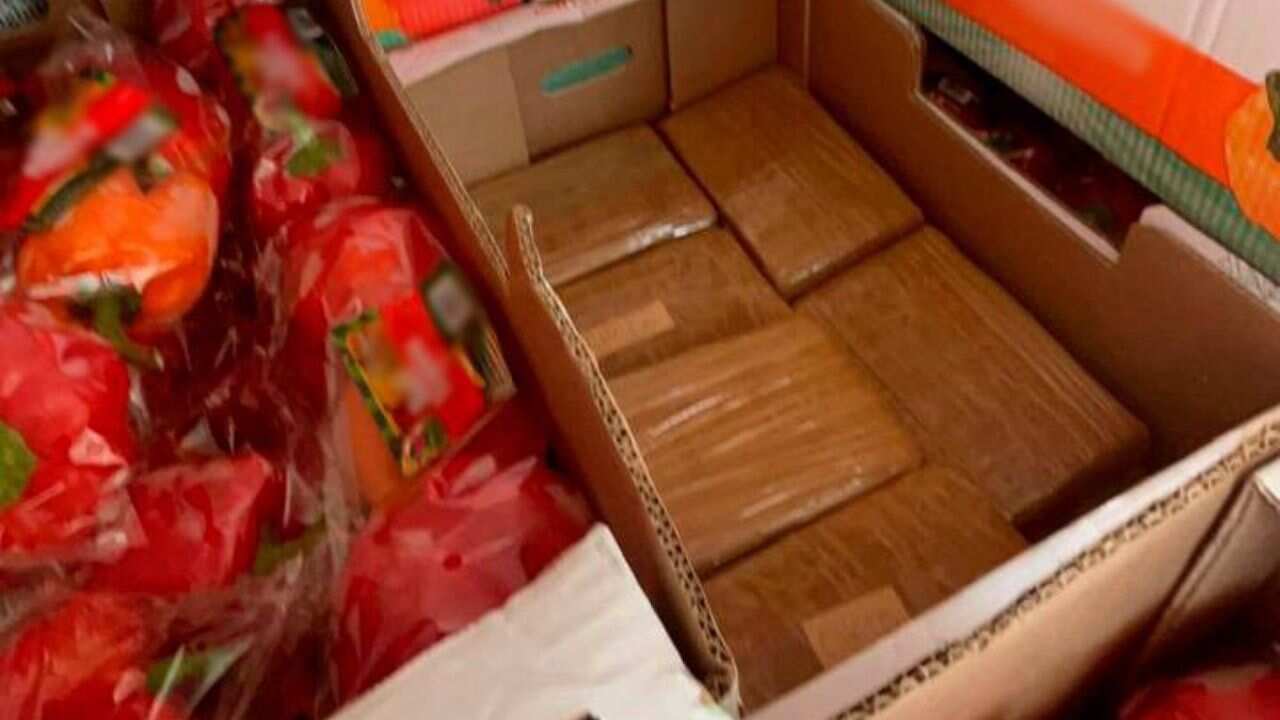 Decomisan 14 Kilogramos de fentanilo ocultos en cajas de chiles en Sonora