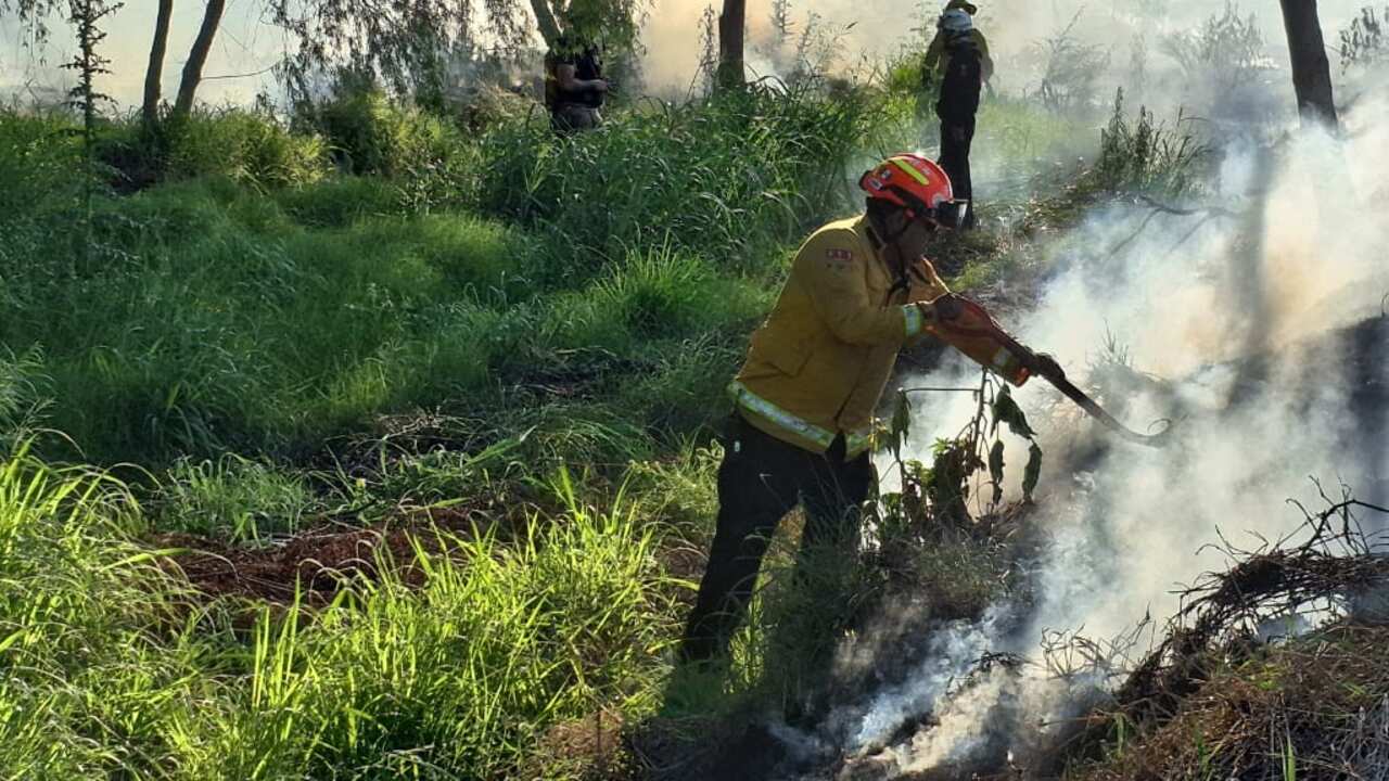 Es importante no tirar colillas de cigarros ni quemar basura.