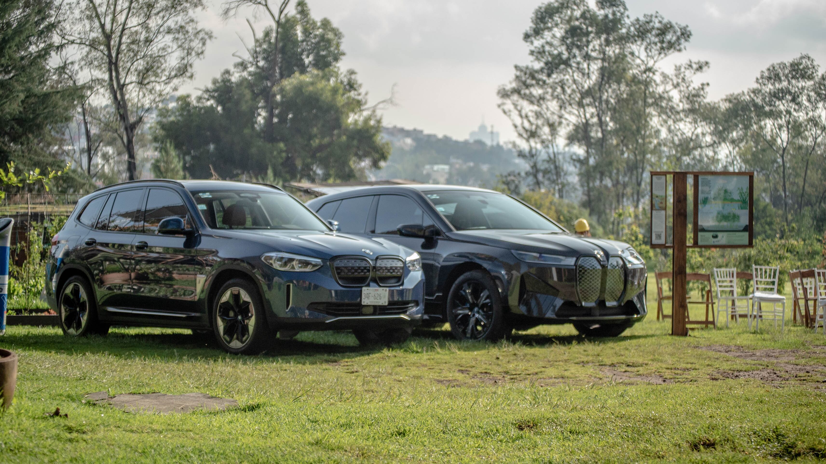Reforestación de la Barranca de Tarango