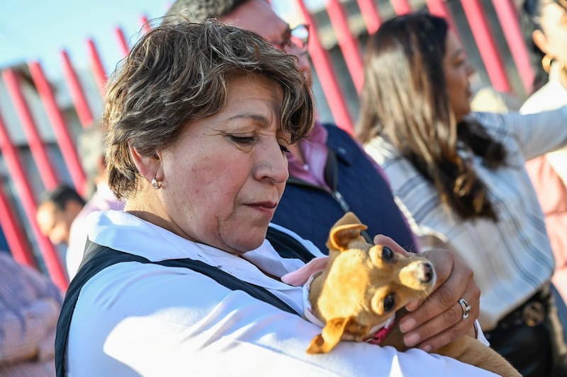Gobierno del Estado de México presenta estrategia para atender sobrepoblación de animales callejeros