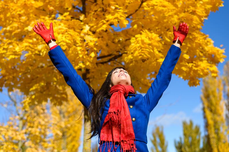 Aprovecha el Yellow Day para darle un toque único y alegre a los espacios de tu hogar