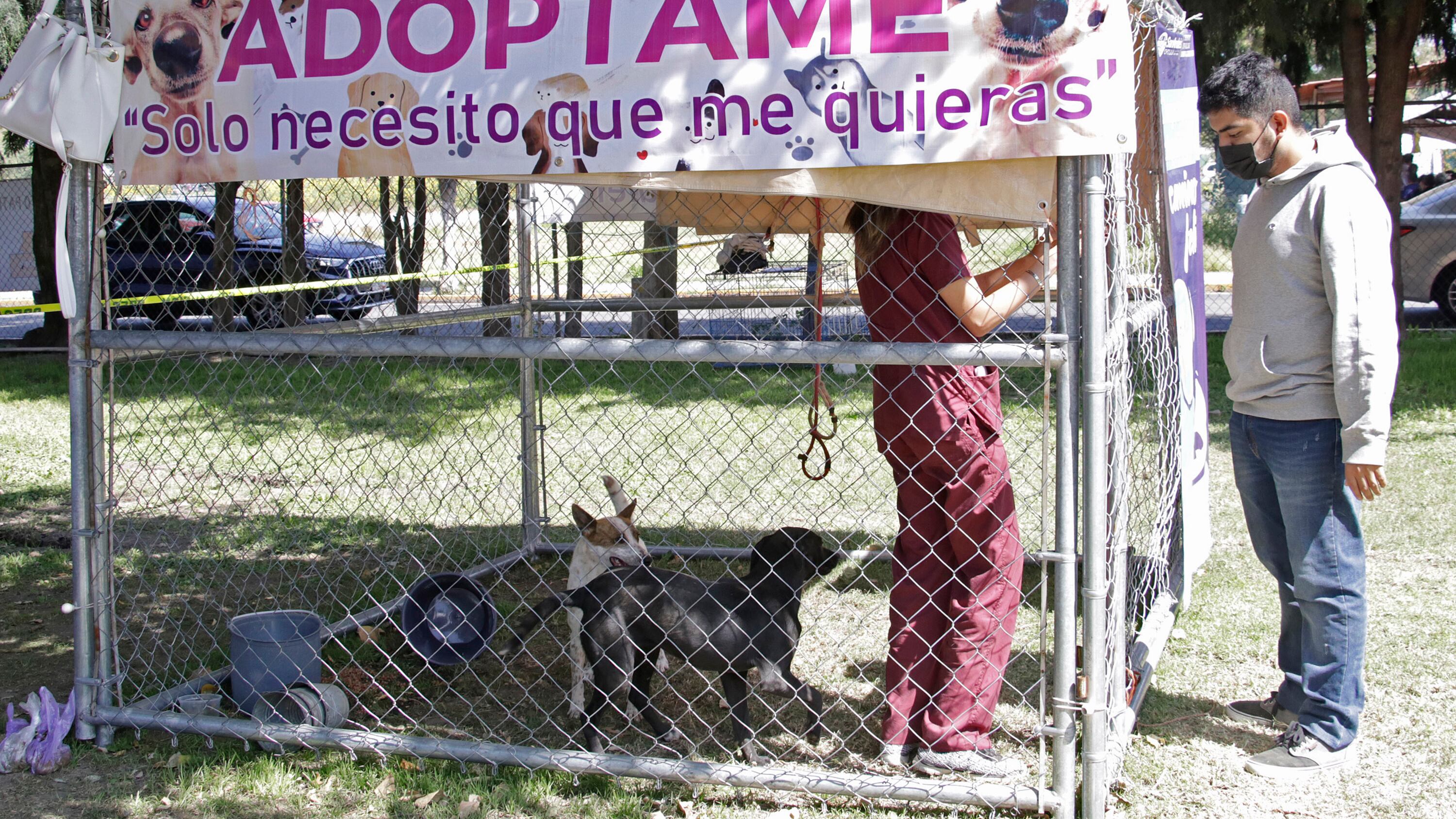 FOTO: Agencia Enfoque