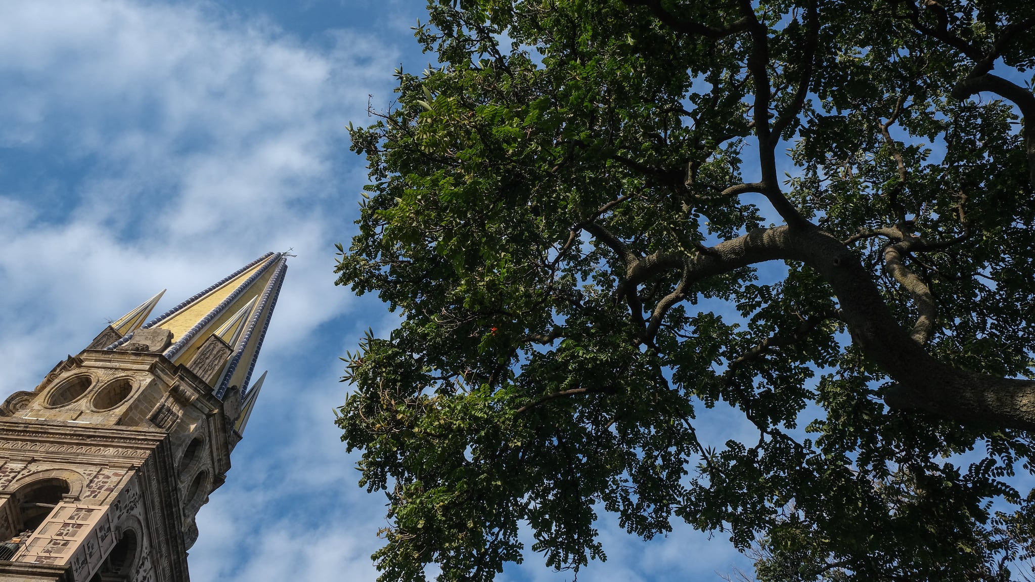 IMAGEN ILUSTRATIVA/ GOBIERNO DE JALISCO/ IMEPLAN