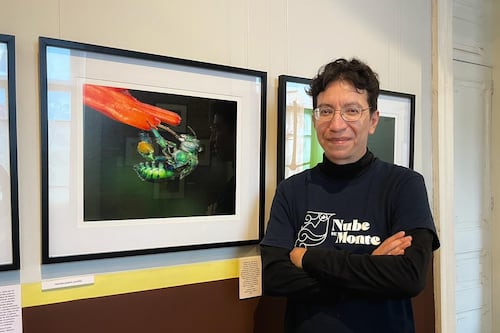 Abejas nativas de México: ciencia, arte y conservación en la muestra “Miradas en el Polen”