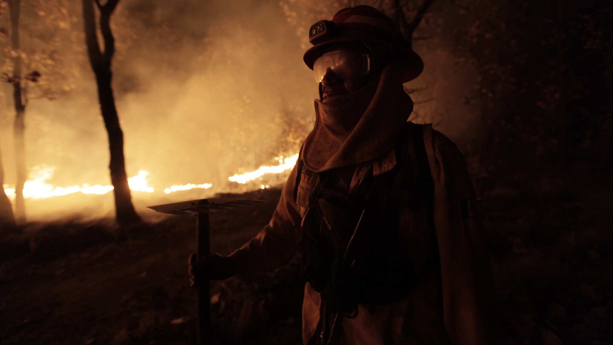 Mezquitic fue el municipio que registró más hectáreas dañadas por los incendios forestales.