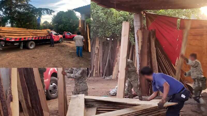 Profepa desmantela tres aserraderos ilegales en Acaxochitlán, Hidalgo