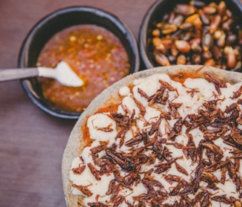 Por más de nueve años, este proyecto gastronómico ha brindado oportunidades de progreso a personas en situaciones vulnerables, además de pizzas deliciosas
