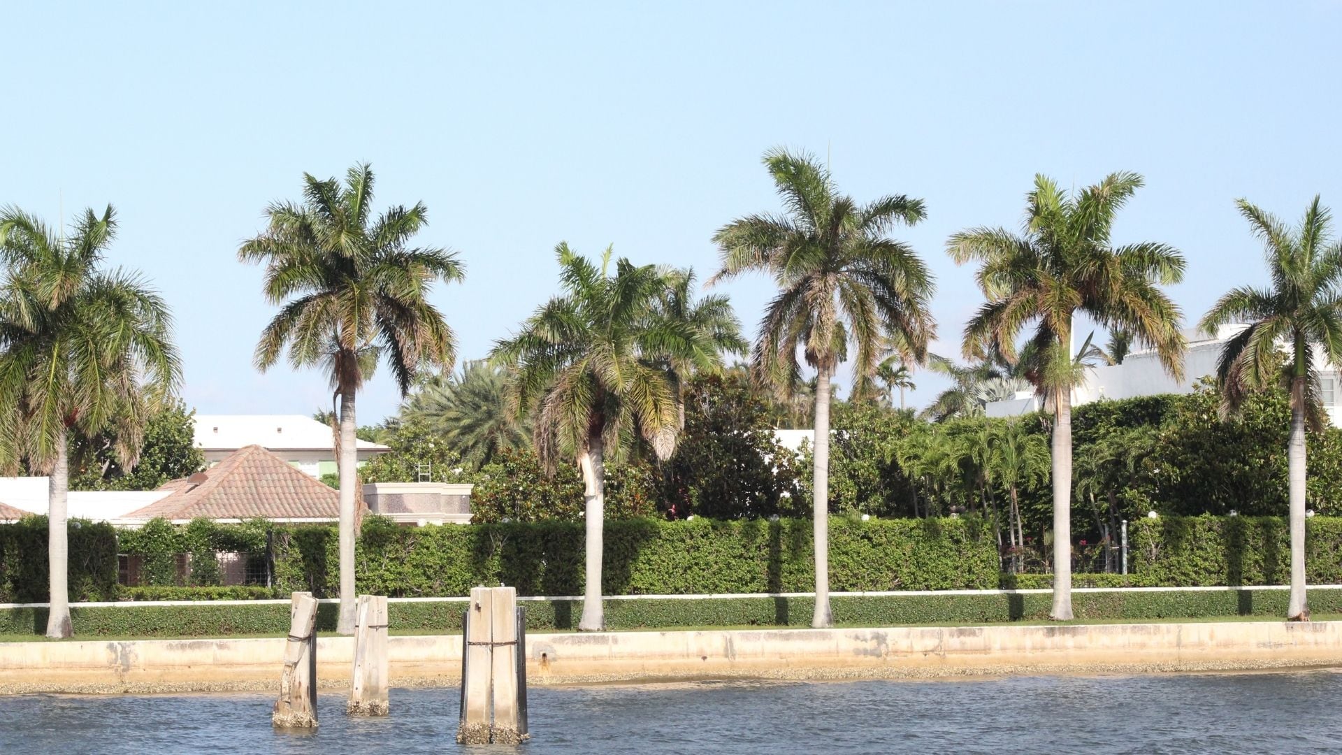 Palm Beach: la escapada imperdible para disfrutar Florida rumbo a la máxima fiesta de futbol
