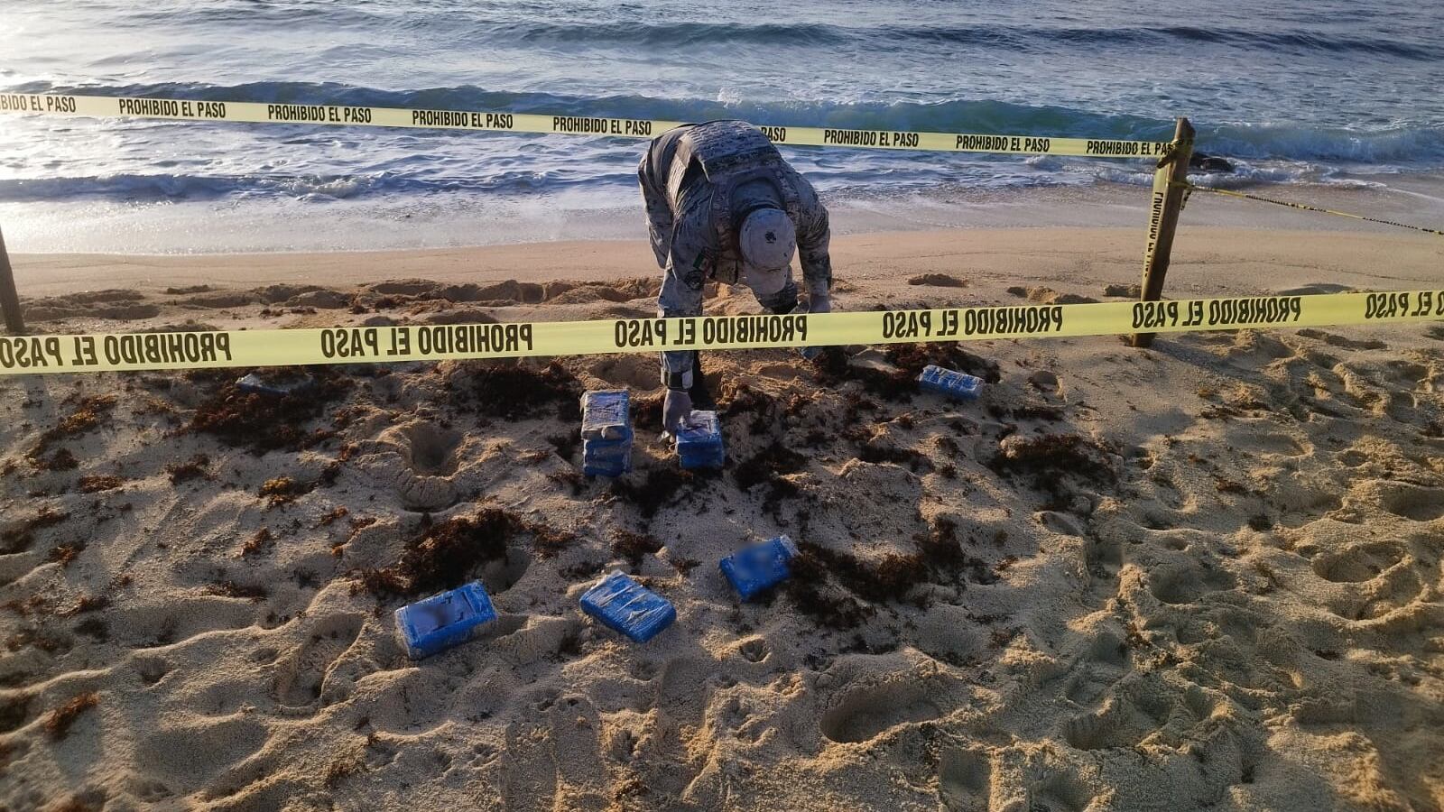 Encuentran paquetes de cocaína ocultos entre el sargazo en playas de Quintana Roo