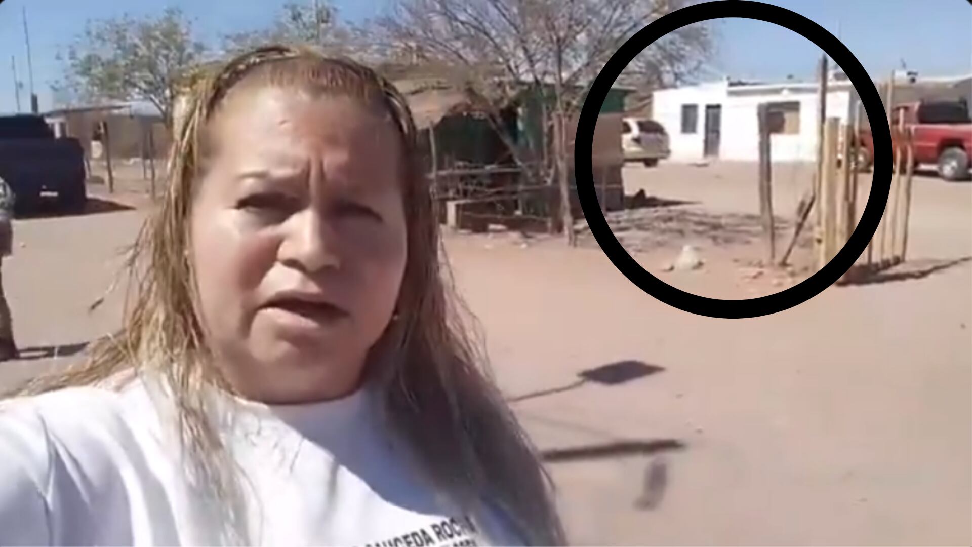 Ceci Flores El Comander