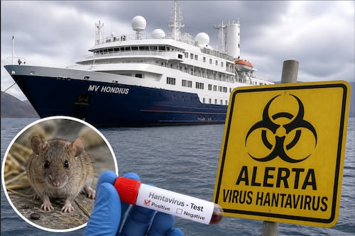 Alerta sanitaria mundial: posible brote de hantavirus en crucero deja muertos