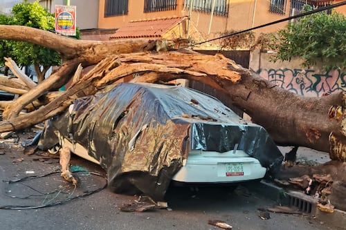 Un incendio y un fallecimiento: estos fueron los principales efectos del sismo en la CDMX