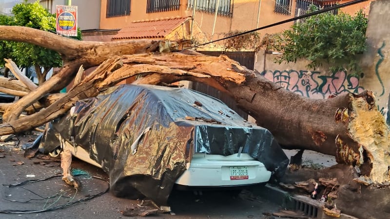 Un incendio y un fallecimiento: estos fueron los principales efectos del sismo en la CDMX