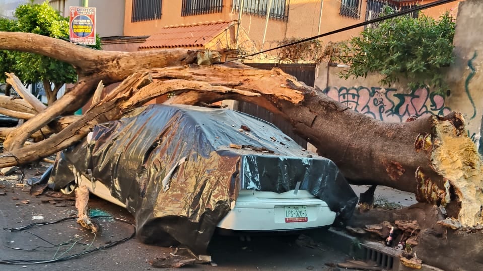 La Alerta Sísmica se activó con una efectividad del 98 por ciento en la Ciudad de México, permitiendo la evacuación de inmuebles