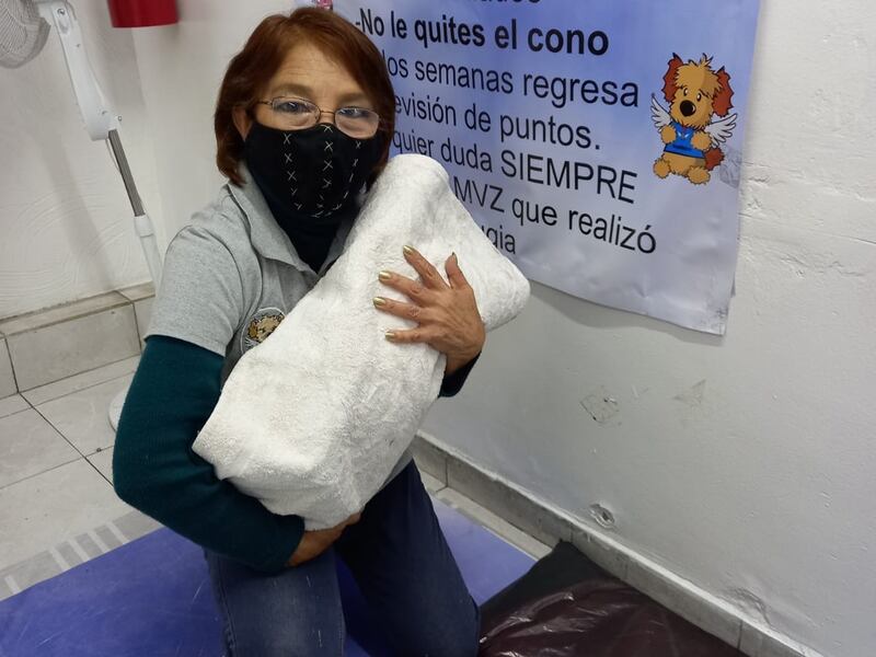 Ofrecen varios servicios