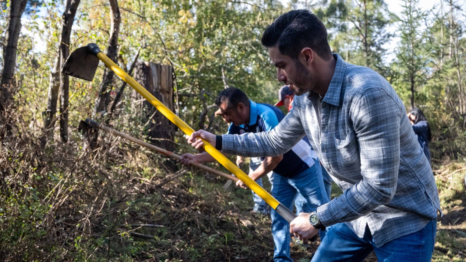 Frente a la amenaza de incendios, impulsan cortafuegos en el Bosque de Agua