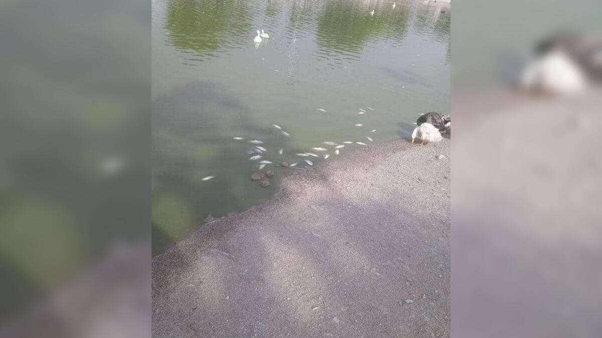 El acuífero es de los pocos parajes naturales en la zona norte de Monterrey.