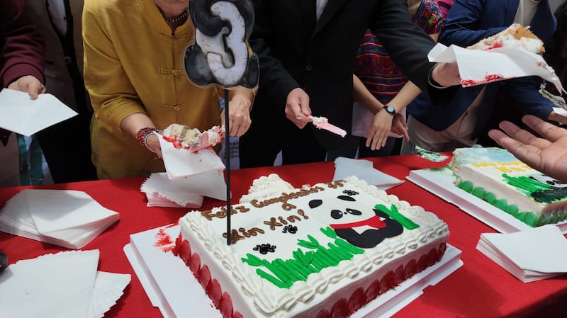 Video Xin Xin: Chapultepec celebra el cumpleaños 35 de la panda gigante más querida de México