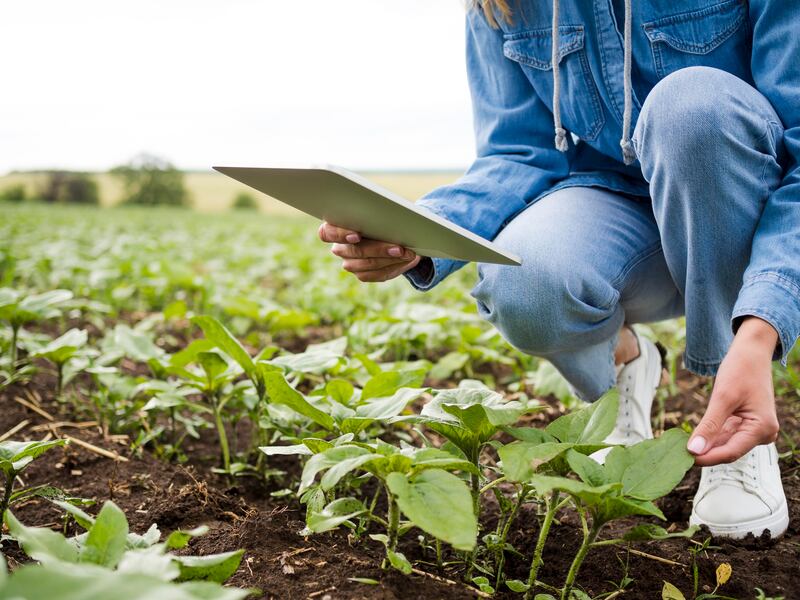 Nanotecnología agrícola: el proyecto mexicano que busca transformar el campo
