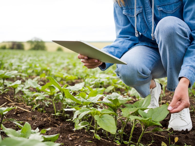 Nanotecnología agrícola: el proyecto mexicano que busca transformar el campo