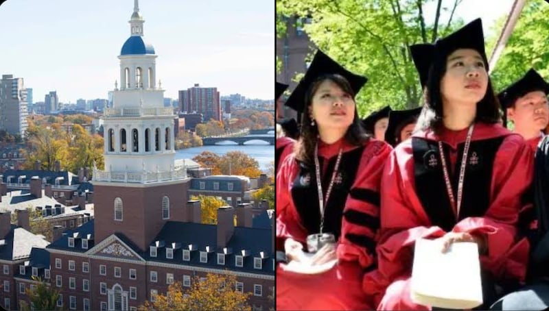 Universidad de Harvard