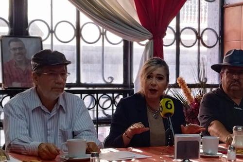 “Afinación sí, verificación no”: Ambientalistas exigen eliminar la verificación obligatoria