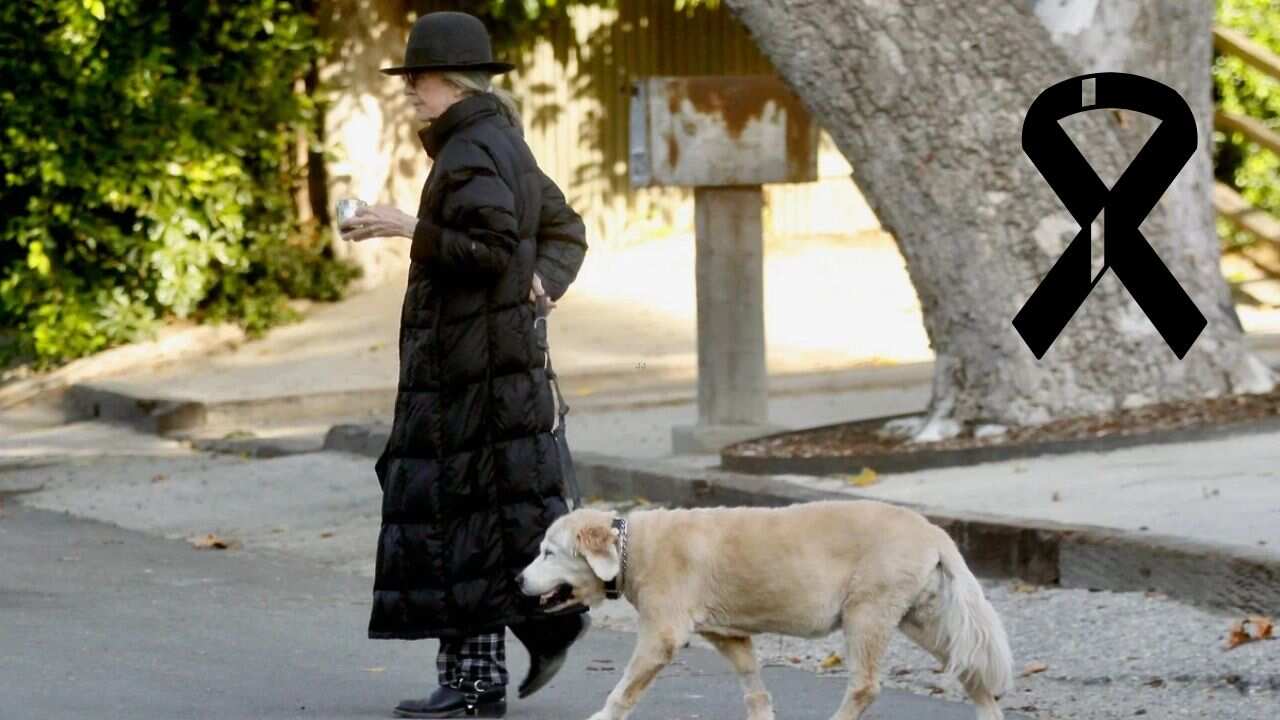 La actriz dejó a una perra llamada Reggie