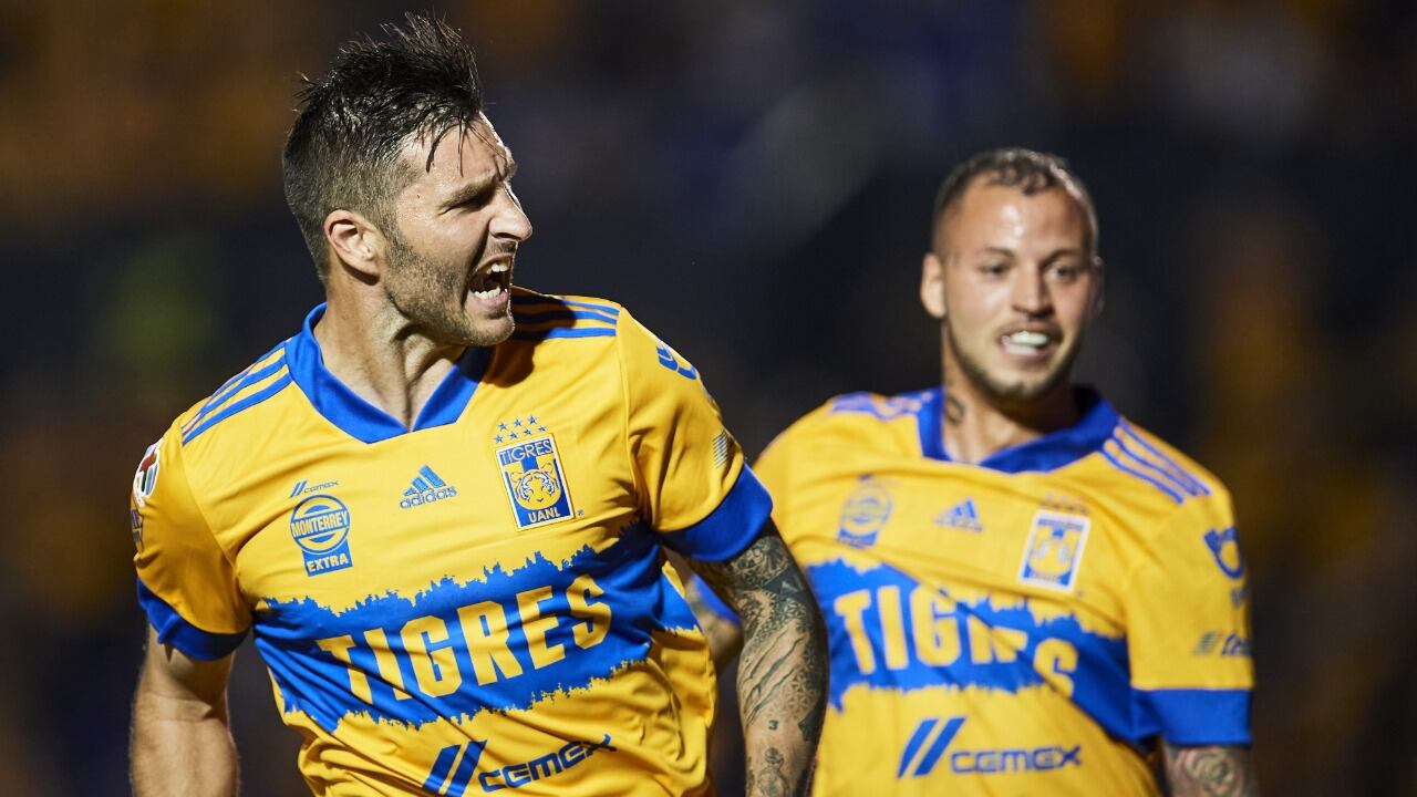 Tigres