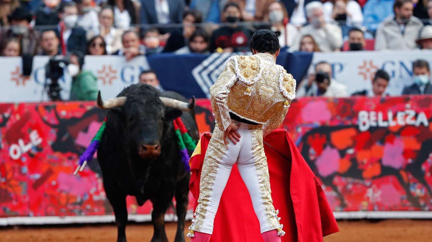 Corridas de toros regresan a la Plaza México por orden de la Suprema Corte